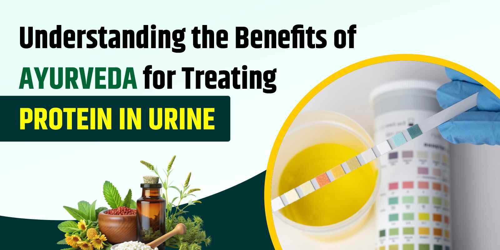 Understanding the Benefits of Ayurveda for Treating Protein in Urine